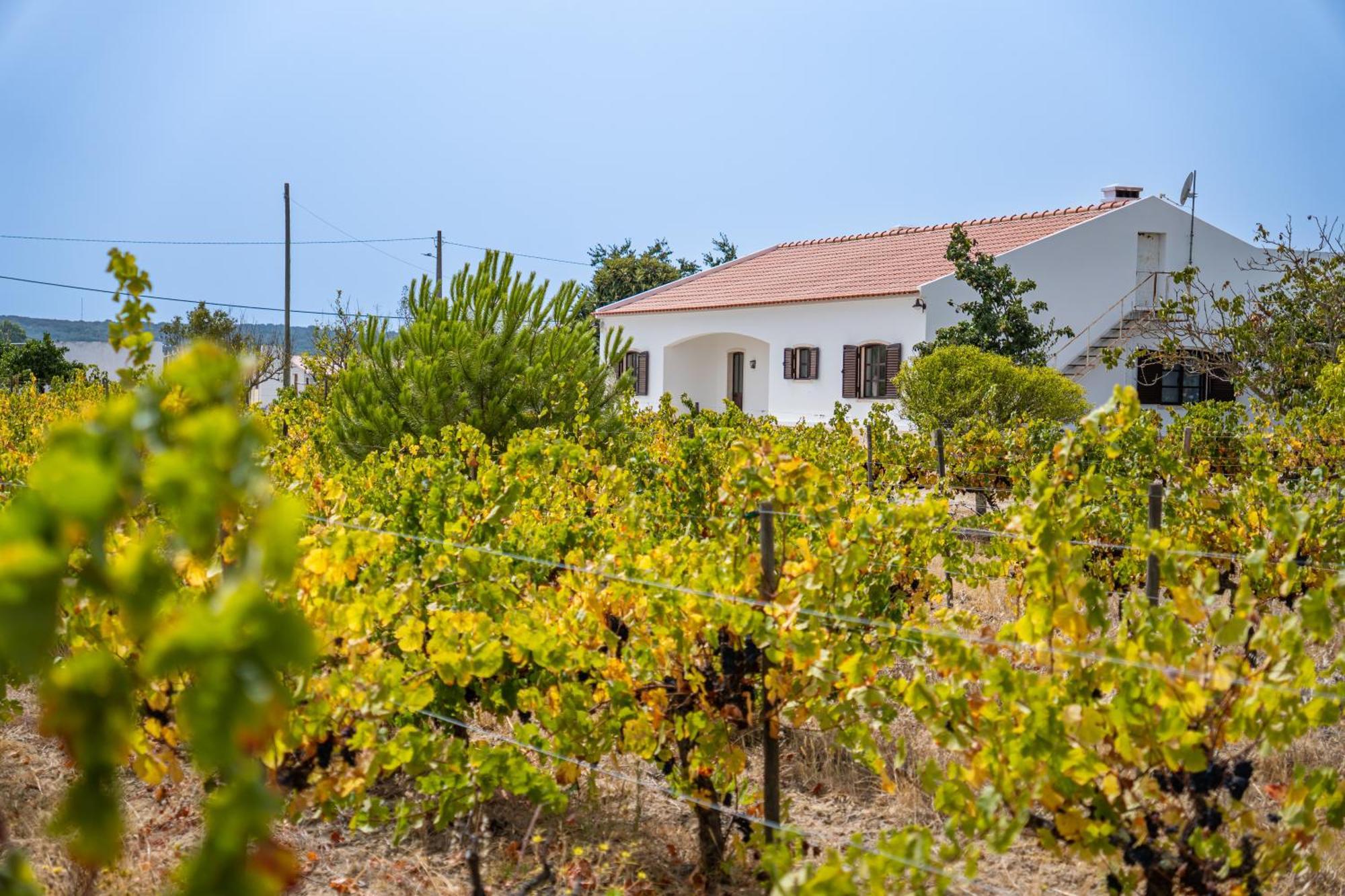 Villa Quinta Do Quartel à Évora Extérieur photo